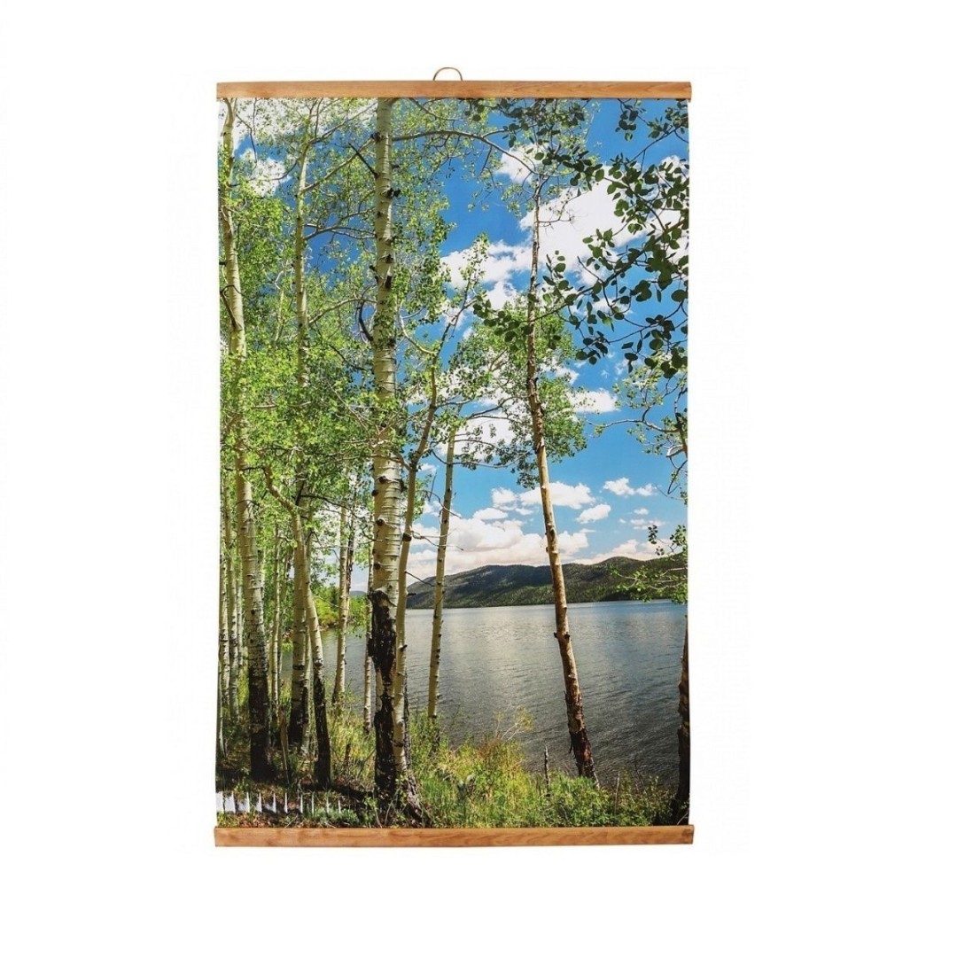 Пленочный обогреватель домашний очаг березка